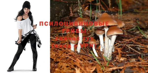 эйфоретик Арсеньев
