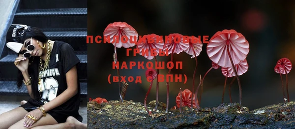 эйфоретик Арсеньев