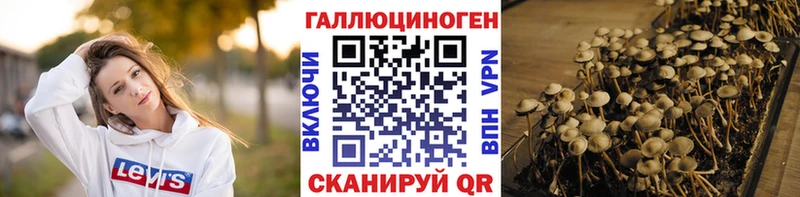 hydra ONION  Похвистнево  Галлюциногенные грибы Psilocybine cubensis 